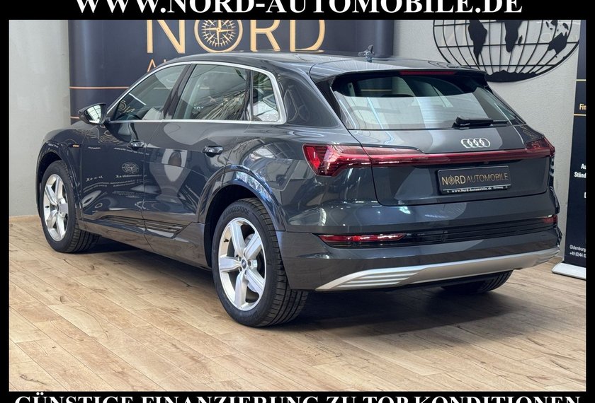 Audi e-tron e-tron 55 QU.Advanced Automatik Kamera/Navi/LED