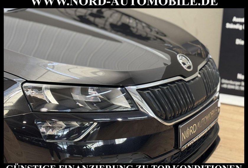 Skoda Karoq Karoq Style 2.0 TDI DSG Kamera/Navi/ACC/18