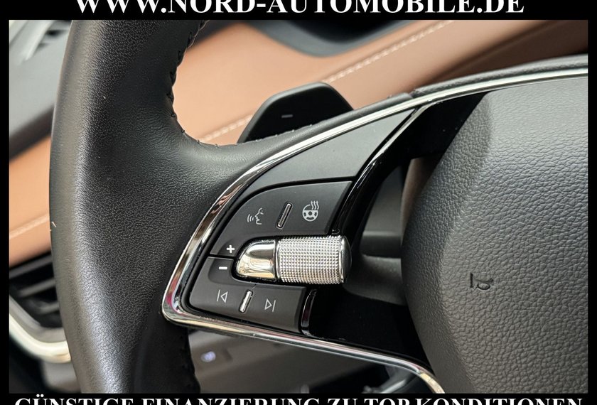 Skoda Enyaq Enyaq iV 80 Eco-Suite Leder/Wärmepumpe/Kamera/21