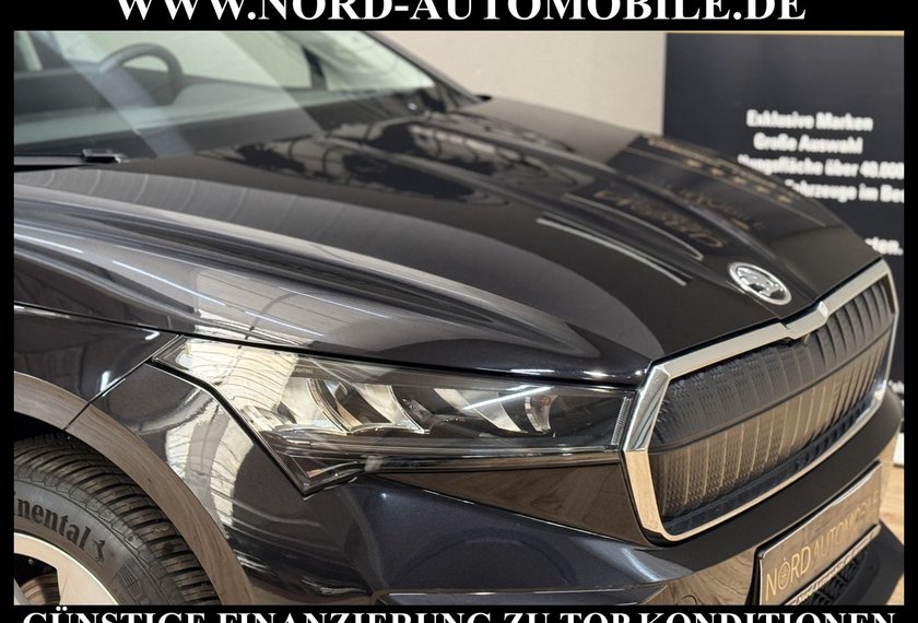 Skoda Enyaq Enyaq iV 60 Loft Panorama/Kamera/Teilleder/19