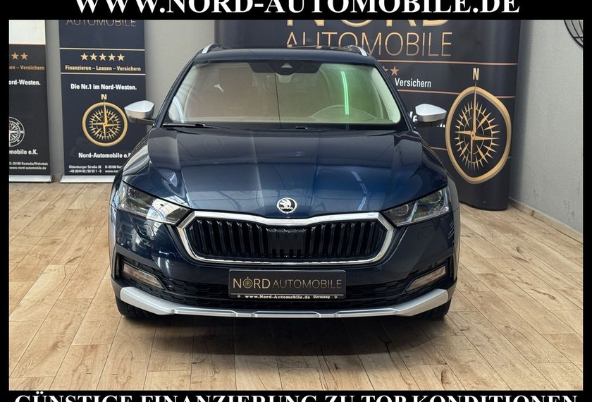 Skoda Octavia Octavia Scout Combi 2.0 TDI DSG Pano/AHK/StHz/18