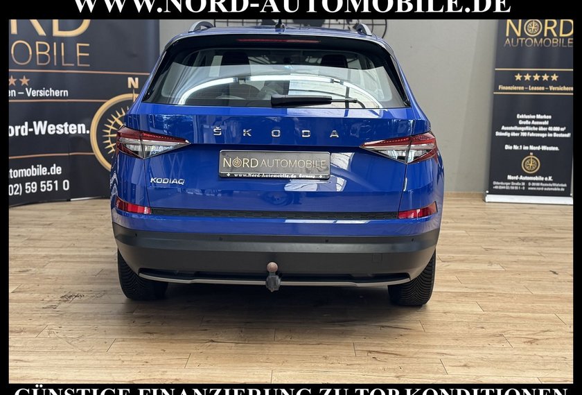 Skoda Kodiaq Kodiaq Active 2.0 TDI DSG LED/AHK/SHZ