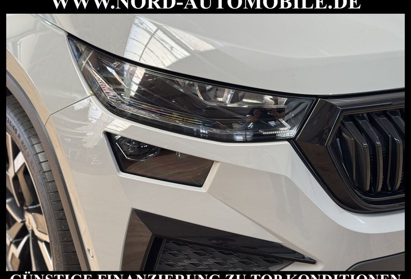 Skoda Kodiaq Kodiaq RS 2.0 TSI DSG 7-Sitzer/AHK/Pano/20