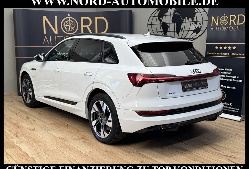 Audi e-tron e-tron 50 QU.S-Line Teilleder/Kamera/LED/Navi/20