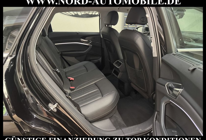 Audi e-tron e-tron 55 S-Line QU.Leder/Matrix/B&amp;O/Kamera/20