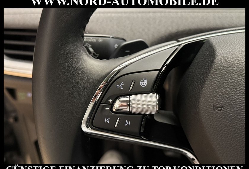 Skoda Enyaq Enyaq iV 60 Loft Panorama/Matrix/Kamera/19