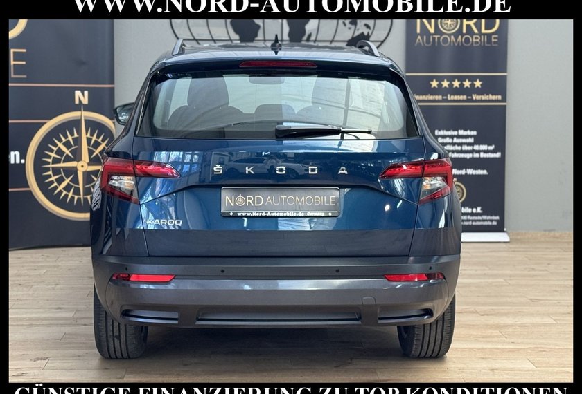 Skoda Karoq Karoq Ambition 2.0 TDI DSG Navi/PDC/SHZ/17