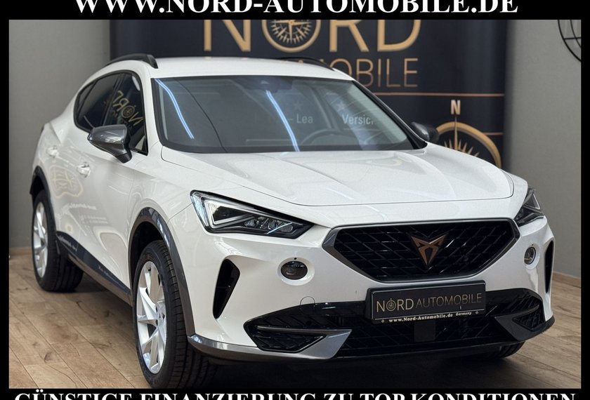 Cupra Formentor Formentor 2.0 TSI DSG Kamera/Navi/LED/18/ACC