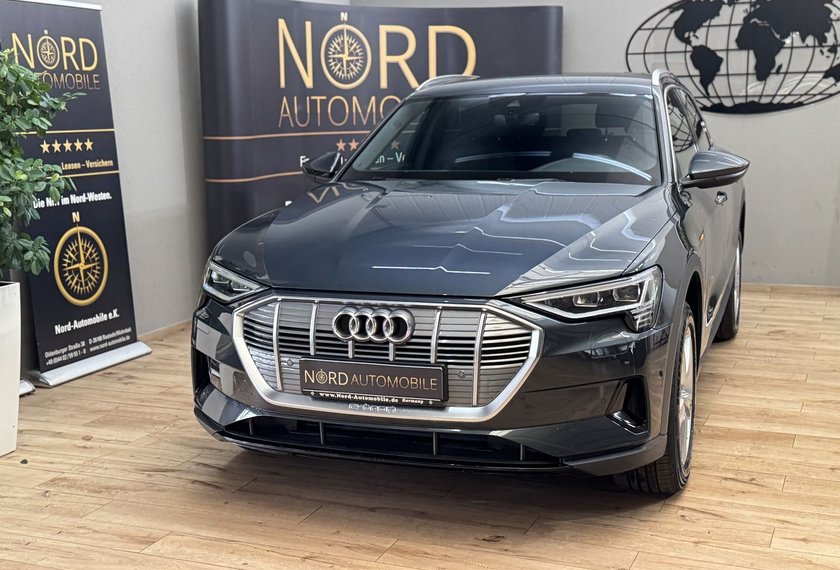 Audi e-tron e-tron 50 QU.Teilleder/Matrix/B&amp;O/ACC/Kamera