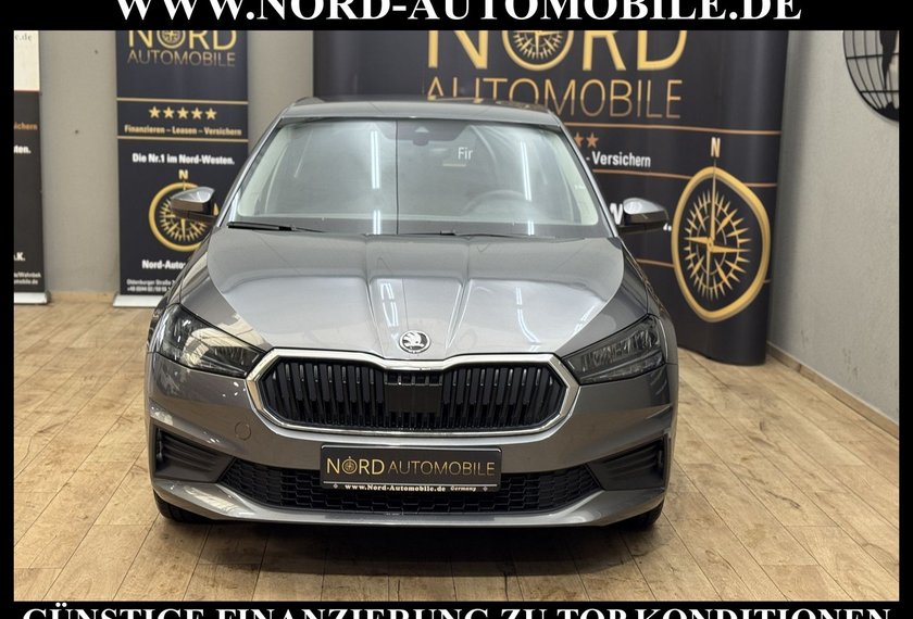 Skoda Fabia Fabia Active 1.0 TSI LED/PDC/Klima/Spurhalte