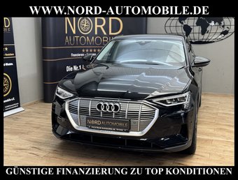 Audi e-tron e-tron 50 QU. Leder*Kamera*LED*21''*Navi*