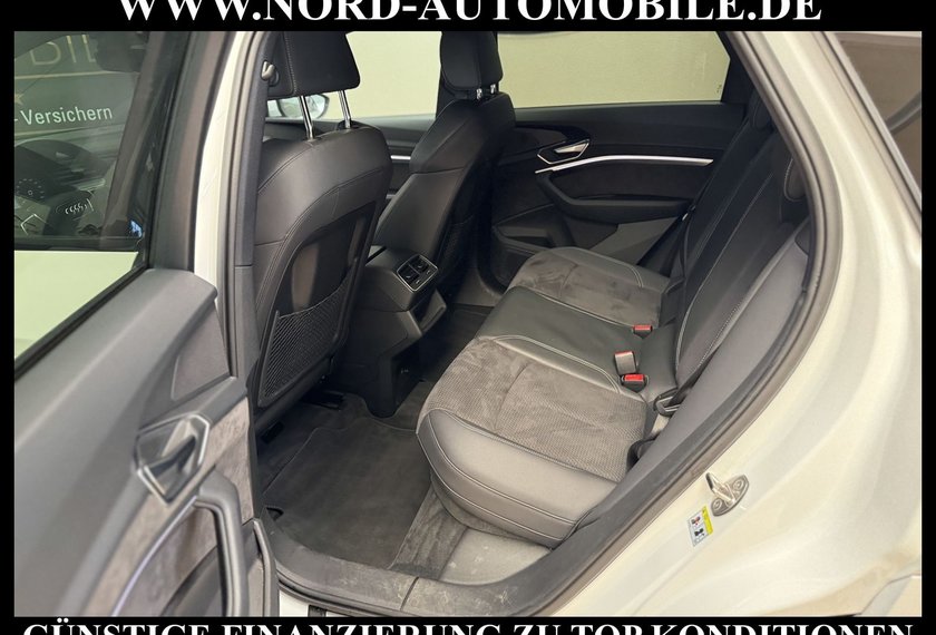 Audi e-tron e-tron 50 QU.S-Line Teilleder/Kamera/LED/Navi/20