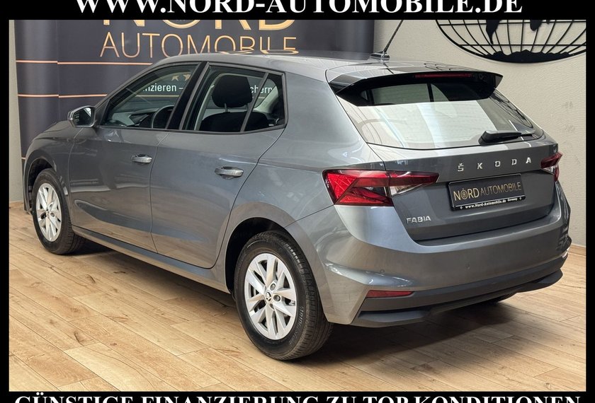 Skoda Fabia Fabia Ambition 1.0 TSI LED/Klima/PDC/15