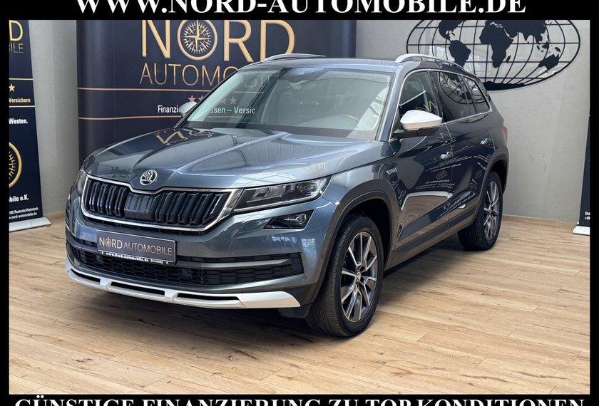 Skoda Kodiaq Kodiaq 2.0 TDI Scout 4x4 DSG StHz/AHK/Kamera/19