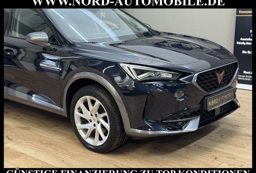 Cupra Formentor Formentor 2.0 TDI Navi/LED/Kamera/Leder/18