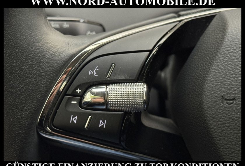 Skoda Enyaq Enyaq iV 60 Suite Leder/Kamera/Navi/LED/19