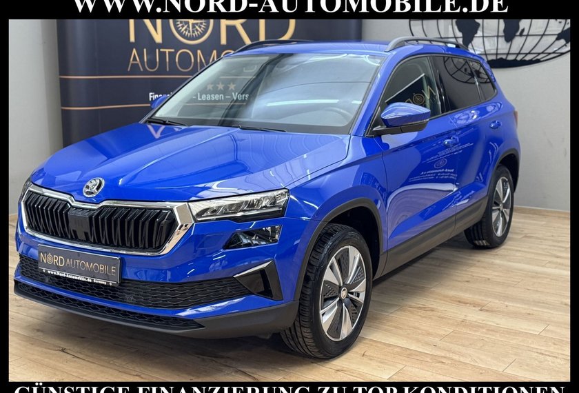 Skoda Karoq Karoq Ambition 2.0 TDI DSG Virt.Cockpit/Kamera