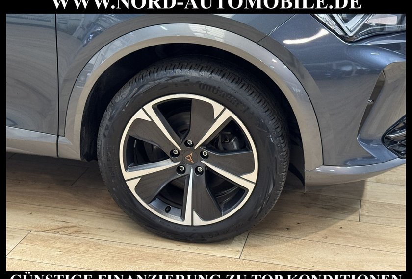 Cupra Formentor Formentor 2.0 TDI DSG AHK/StHZ/Navi/LED/Teillede