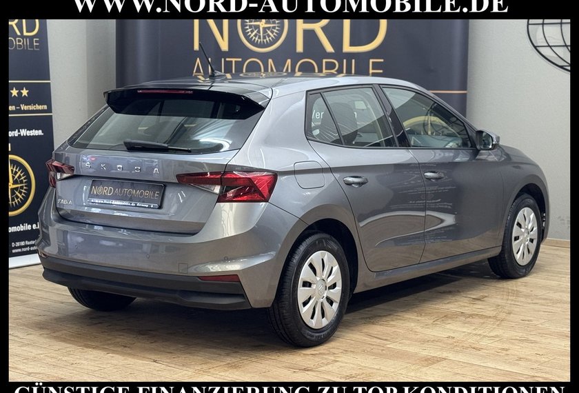 Skoda Fabia Fabia Active 1.0 TSI LED/PDC/Klima/Spurhalte