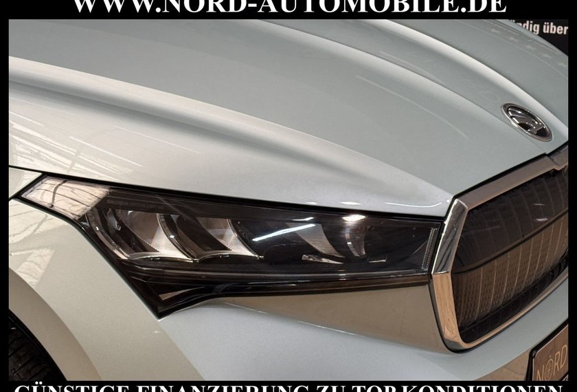 Skoda Enyaq Enyaq iV 60 Loft Wärmepumpe/AHK/20/Navi/