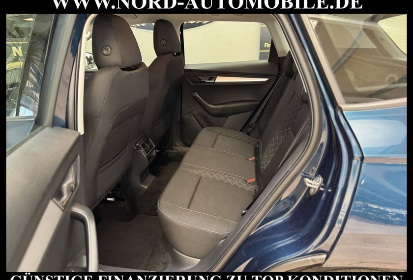 Skoda Karoq Karoq Ambition 2.0 TDI DSG Navi/PDC/SHZ/17