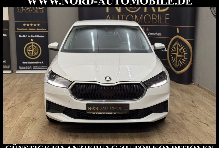 Skoda Fabia Fabia Ambition 1.0 TSI DSG Navi/LED/PDC/
