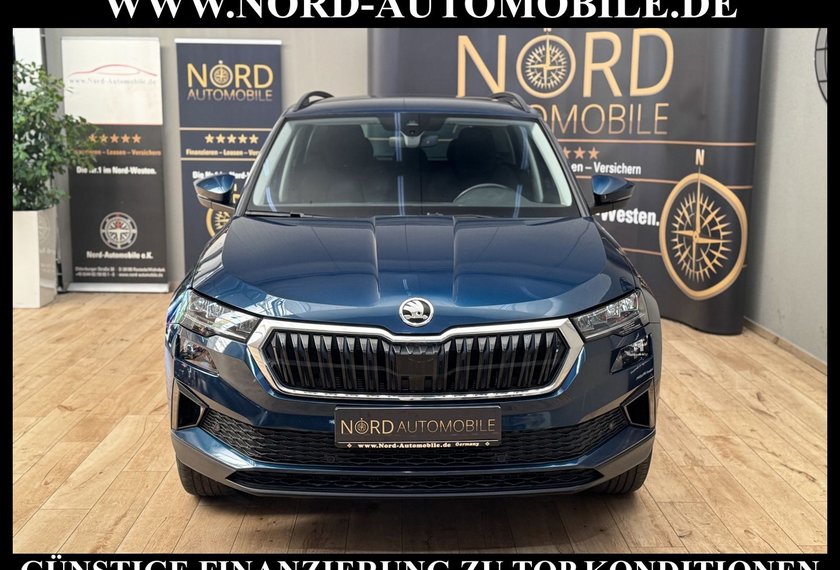 Skoda Karoq Karoq Ambition 2.0 TDI DSG Virt.Cockpit/AHK/Navi