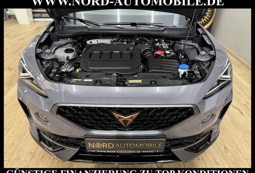 Cupra Formentor Formentor 2.0 TDI DSG Leder/Kamera/Navi/19/