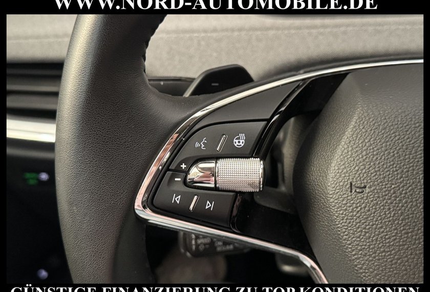 Skoda Enyaq Enyaq iV 80 Loft AHK/Kamera/Navi/LED/82KWH