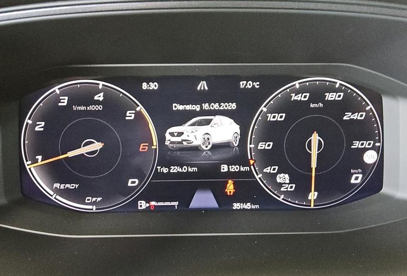 Cupra Formentor Formentor 2.0 TDI 4Drive Kamera/ACC/Side&amp;Lane/
