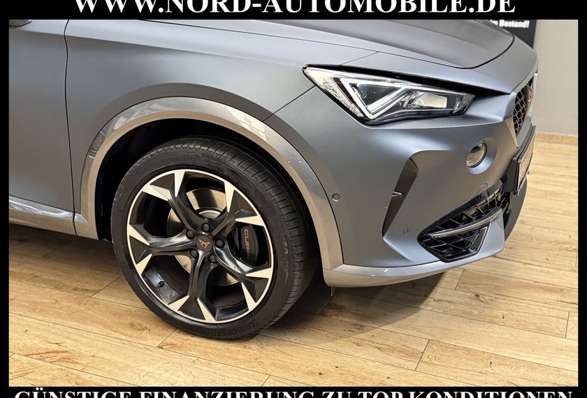 Cupra Formentor Formentor 2.0 TSI VZ AHK/Pano/Leder/Mattlack/