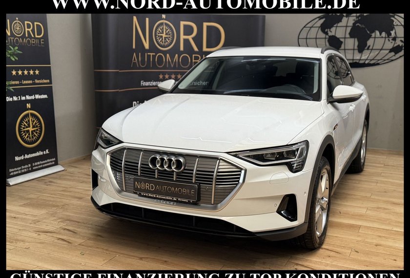 Audi e-tron e-tron 55 QU.Teilleder/Navi/LED/Side&amp;Lane/20