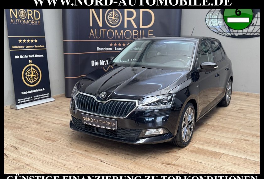 Skoda Fabia Fabia Ambition 1.0 TSI DSG Navi/PDC/ACC/AHK