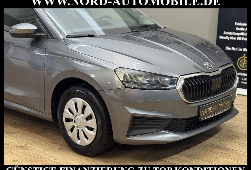 Skoda Fabia Fabia Active 1.0 TSI LED/PDC/Klima/Spurhalte