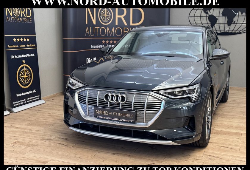 Audi e-tron e-tron 55 Advanced QU.Leder/Kamera/20/Head-Up