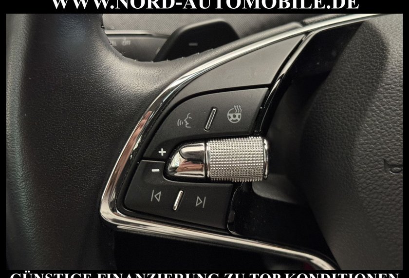 Skoda Enyaq Enyaq iV 80 Loft AHK/Kamera/Navi/LED/20