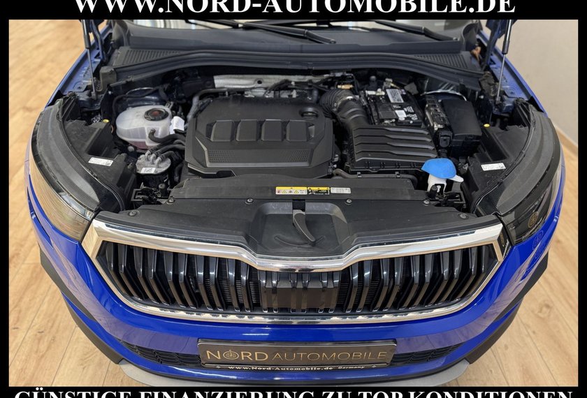 Skoda Kodiaq Kodiaq Active 2.0 TDI DSG LED/AHK/SHZ