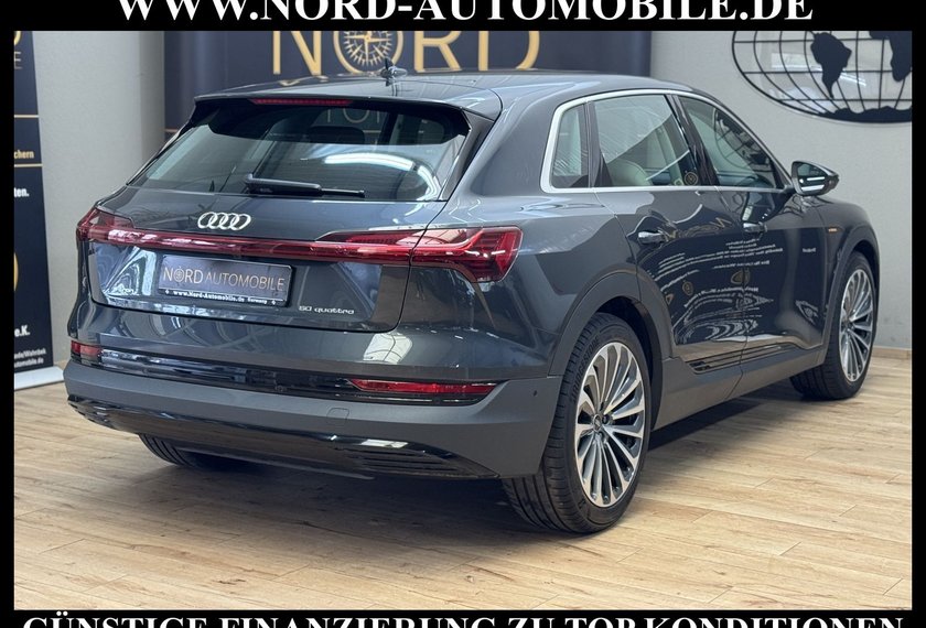 Audi e-tron e-tron 50 QU.Leder/Kamera/AHK/Panorama/21