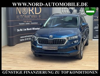 Skoda Karoq Karoq Business 2.0 TDI DSG Virt.Cockpit/Kamera/