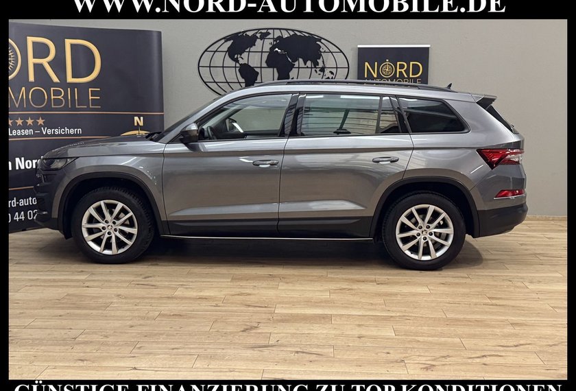 Skoda Kodiaq Kodiaq Ambition 2.0 TDI DSG Leder/AHK/Trittbrett