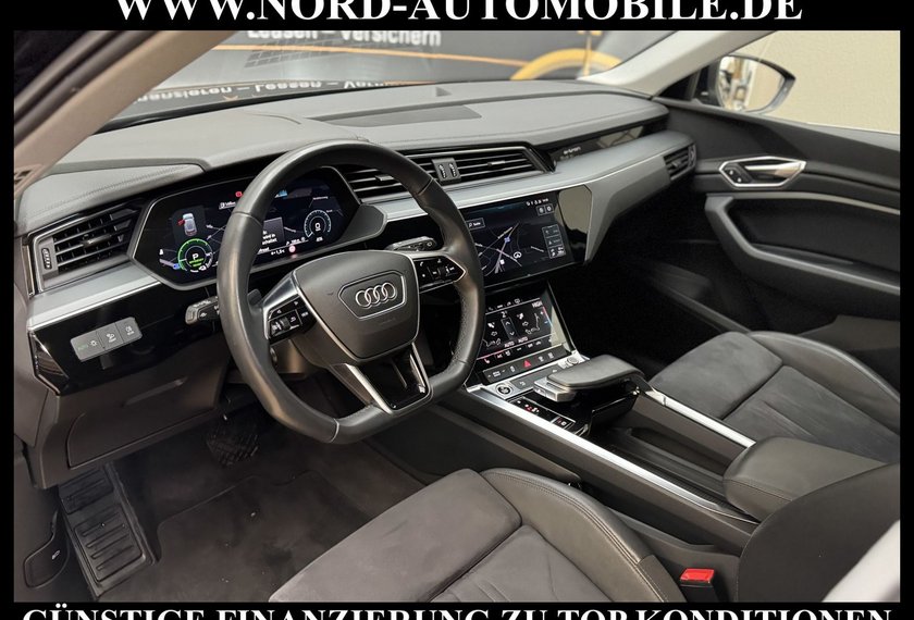 Audi e-tron e-tron 55 QU. Teilleder/AHK/Kamera/20/