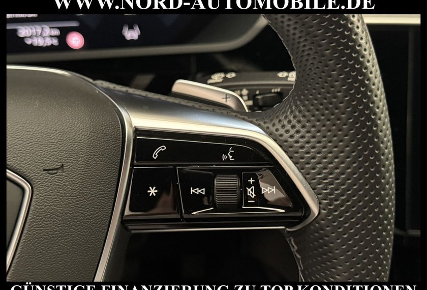 Audi e-tron e-tron 50 QU.S-Line Teilleder/Kamera/Head-Up/20