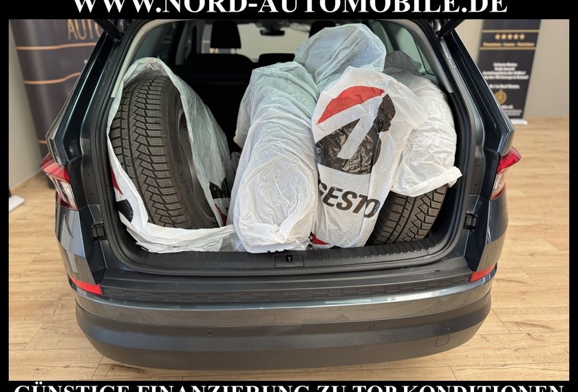 Skoda Kodiaq Kodiaq 2.0 TSI DSG Area View/Navi/LED/19/