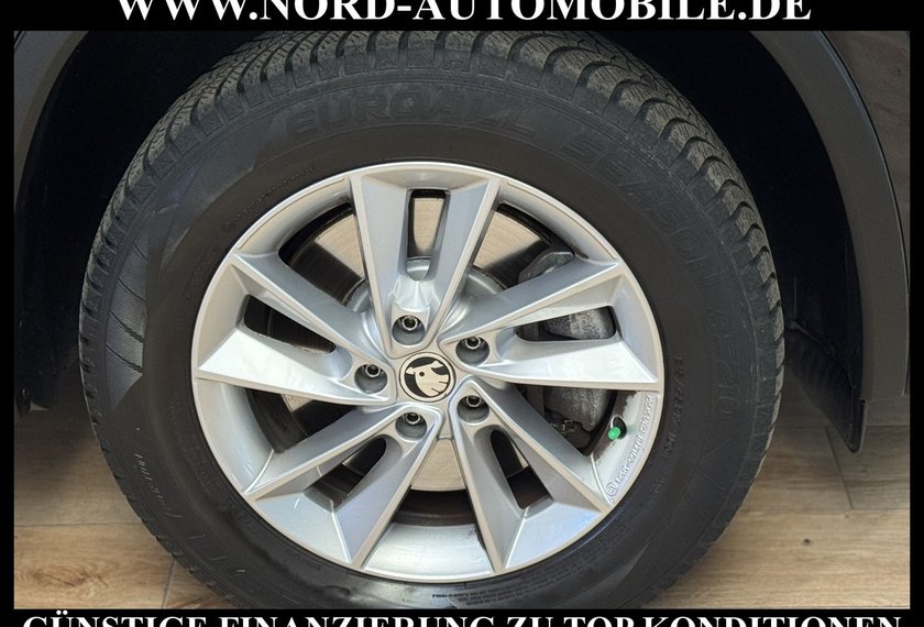 Skoda Kodiaq Kodiaq 2.0 TSI DSG Ambition 4x4 *LEDER*AHK*STHZ*