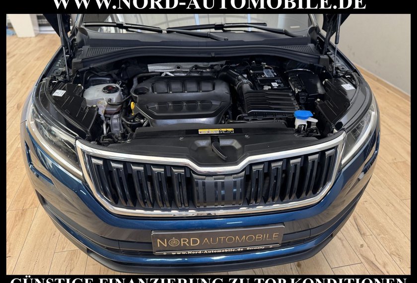 Skoda Kodiaq Kodiaq 2.0 TSI 4x4 DSG Ambition AHK/Virt.Cockpit