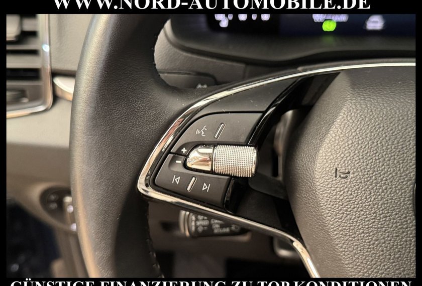 Skoda Karoq Karoq Business 2.0 TDI DSG Virt.Cockpit/Kamera/