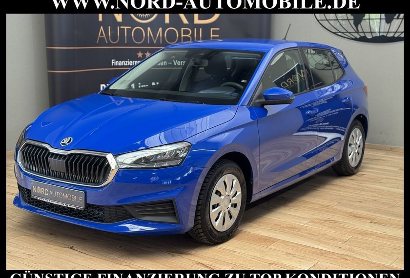 Skoda Fabia Fabia Active 1.0 MPI LED/Klima/Spurhalte