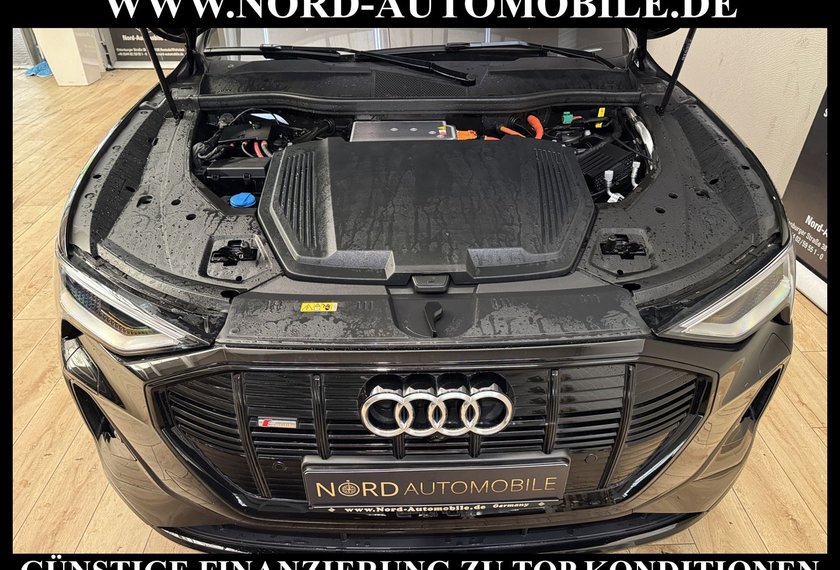 Audi e-tron e-tron 50 QU.S-Line Matrix/Kamera/21/