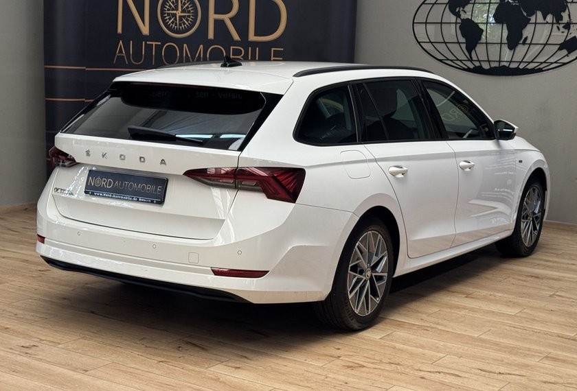 Skoda Octavia Octavia Combi Ambition 2.0 TDI DSG AHK/Matrix/