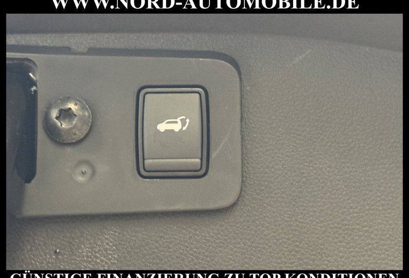 Renault Austral Austral 1.3 TCe 160 CVT TECHNO*PANO*19Z*KAUM KM*